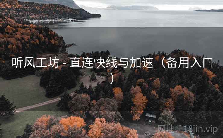 听风工坊 - 直连快线与加速（备用入口）