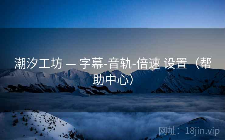 潮汐工坊 — 字幕-音轨-倍速 设置（帮助中心）