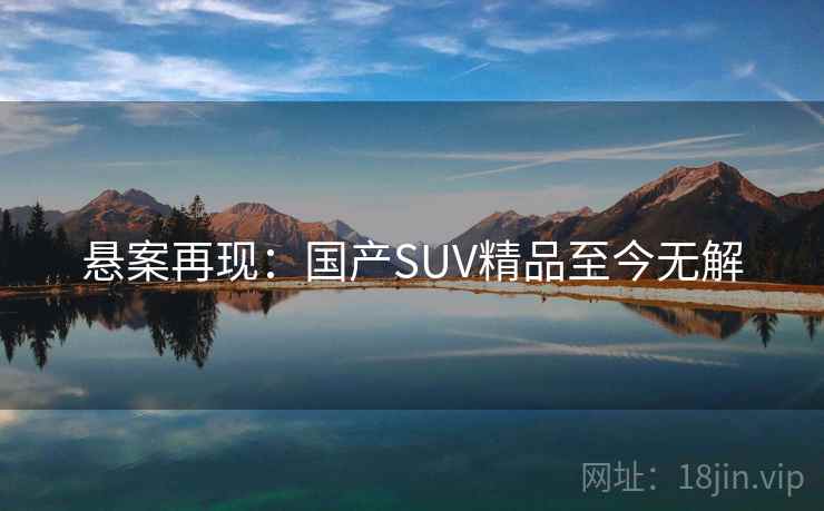 悬案再现：国产SUV精品至今无解